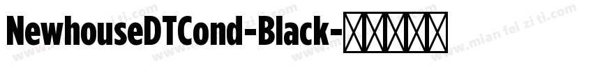 NewhouseDTCond-Black字体转换