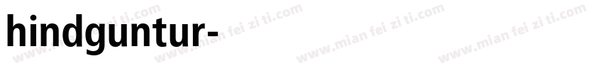 hindguntur字体转换