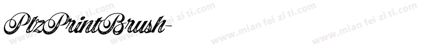 PlzPrintBrush字体转换