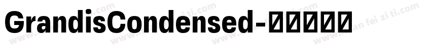 GrandisCondensed字体转换