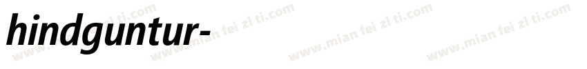 hindguntur字体转换