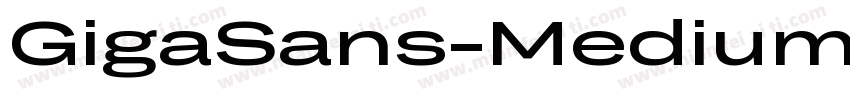 GigaSans-Medium-中字体转换