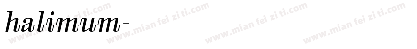 halimum字体转换