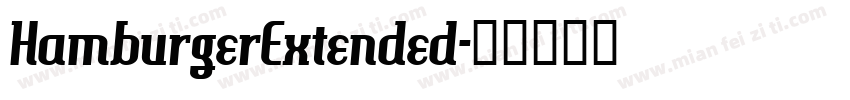 HamburgerExtended字体转换