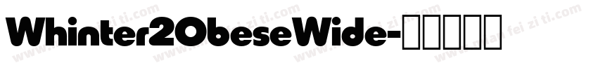 Whinter2ObeseWide字体转换