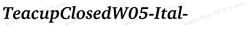 TeacupClosedW05-Ital字体转换