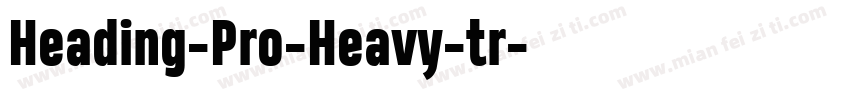 Heading-Pro-Heavy-tr字体转换