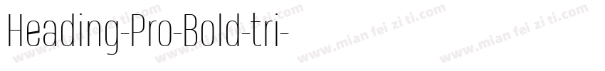 Heading-Pro-Bold-tri字体转换