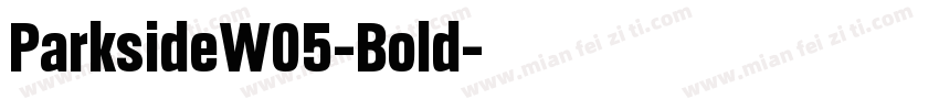 ParksideW05-Bold字体转换