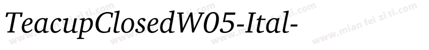 TeacupClosedW05-Ital字体转换