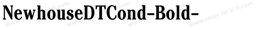 NewhouseDTCond-Bold字体转换