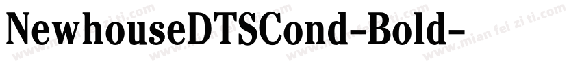 NewhouseDTSCond-Bold字体转换