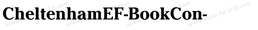 CheltenhamEF-BookCon字体转换