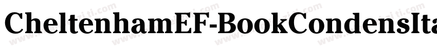 CheltenhamEF-BookCondensIta字体转换
