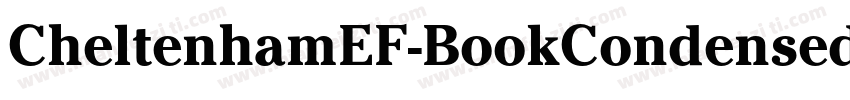 CheltenhamEF-BookCondensed字体转换