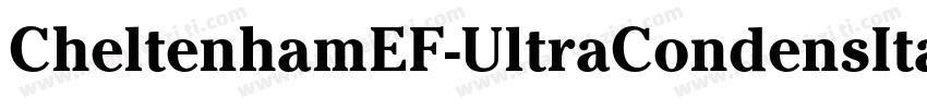 CheltenhamEF-UltraCondensIta字体转换