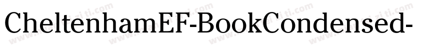 CheltenhamEF-BookCondensed字体转换