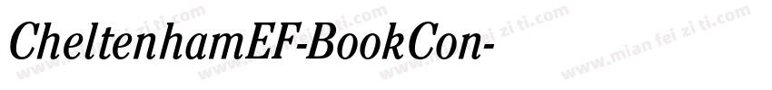 CheltenhamEF-BookCon字体转换