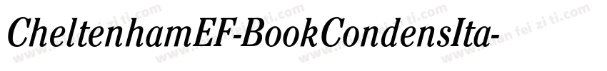CheltenhamEF-BookCondensIta字体转换
