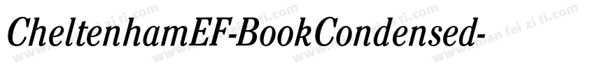 CheltenhamEF-BookCondensed字体转换