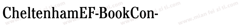 CheltenhamEF-BookCon字体转换
