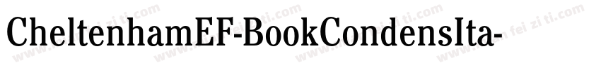 CheltenhamEF-BookCondensIta字体转换