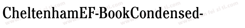 CheltenhamEF-BookCondensed字体转换