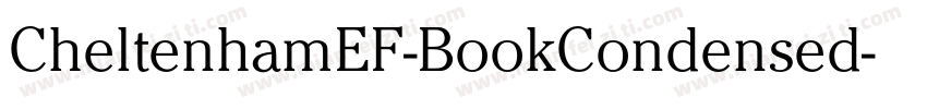 CheltenhamEF-BookCondensed字体转换