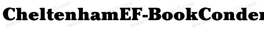 CheltenhamEF-BookCondensIta字体转换
