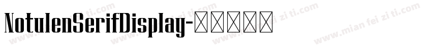 NotulenSerifDisplay字体转换