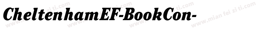 CheltenhamEF-BookCon字体转换