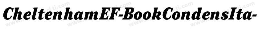 CheltenhamEF-BookCondensIta字体转换
