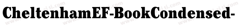 CheltenhamEF-BookCondensed字体转换