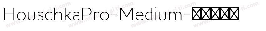HouschkaPro-Medium字体转换