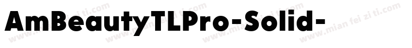 AmBeautyTLPro-Solid字体转换