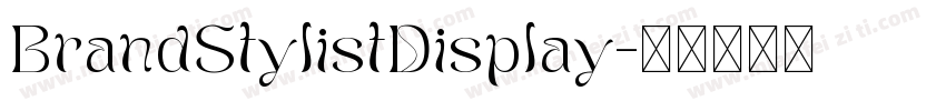 BrandStylistDisplay字体转换