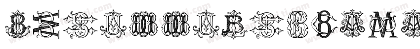 IntellectaBodonedbold字体转换