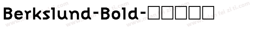 Berkslund-Bold字体转换