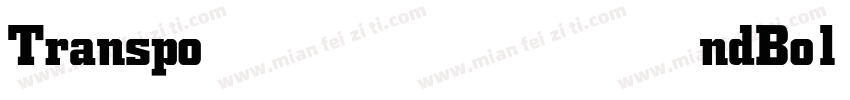 TranspondBoldItalicW字体转换