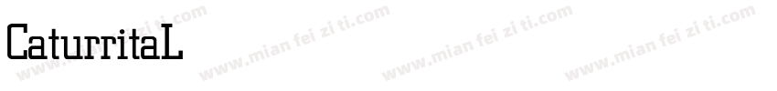CaturritaLightDispla字体转换