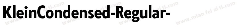 KleinCondensed-Regular字体转换