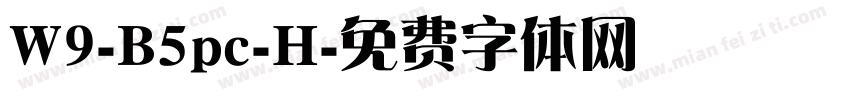 W9-B5pc-H字体转换