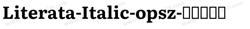 Literata-Italic-opsz字体转换