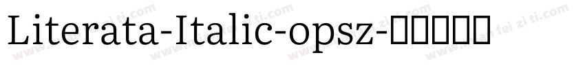 Literata-Italic-opsz字体转换