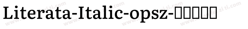 Literata-Italic-opsz字体转换