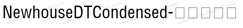 NewhouseDTCondensed字体转换