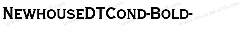 NewhouseDTCond-Bold字体转换