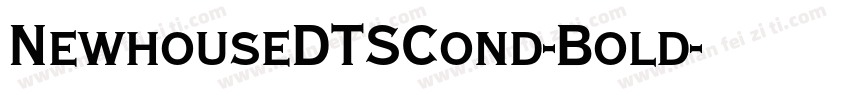 NewhouseDTSCond-Bold字体转换