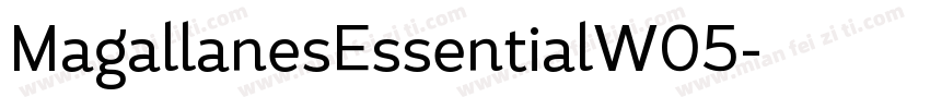 MagallanesEssentialW05字体转换