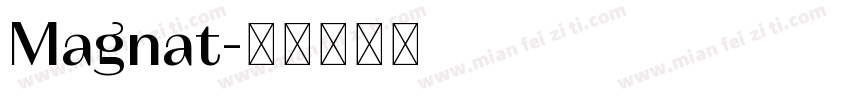 Magnat字体转换